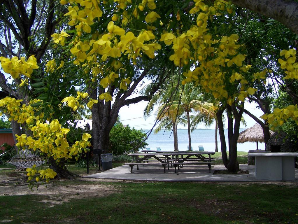 Rock Reef Resort Key Largo Eksteriør billede